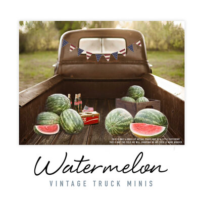 This vintage truck, adorned with vibrant watermelons, sets the stage for a charming mini session photo shoot. The rustic charm and vibrant colors of the setup create a whimsical and summery atmosphere, perfect for capturing timeless memories with Bri Sullivan Photography.