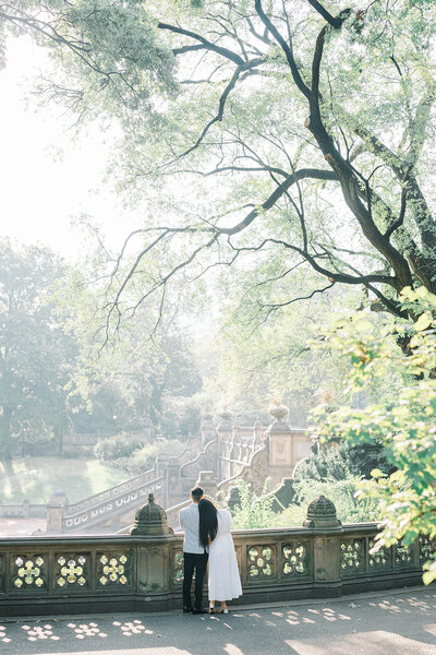 Central_Park_Engagement_Ronnie_and_Jean_MTA-369
