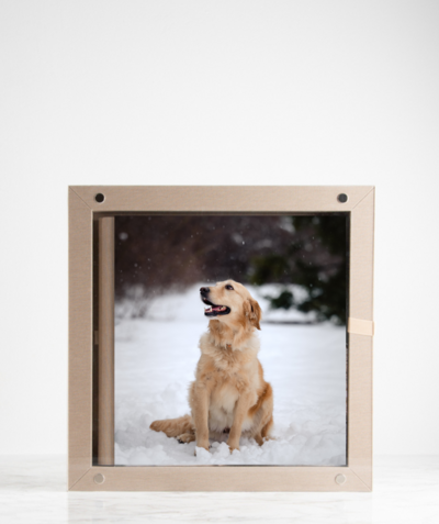 Photo album cover with a dog sitting in the snow