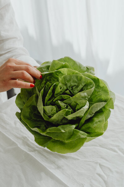 kaboompics_fresh-green-lettuce-background-28553