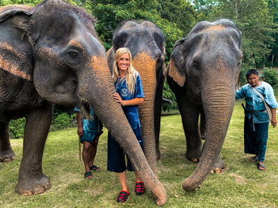 Thailand elephant sanctuary focused on sustainability and conservation in an ethical way.