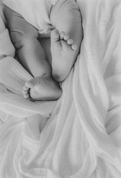 Milwaukee Wisconsin Newborn Photographer