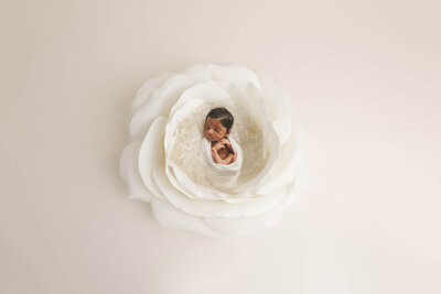 Infant poses for Newborn Photos in Charleston, SC.
