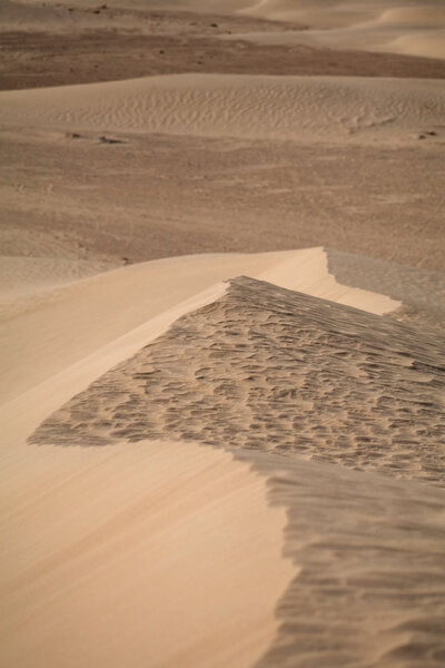Sand dune in desert
