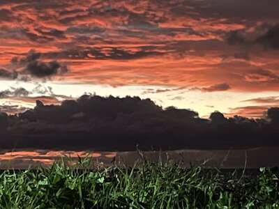 tuvalu 7