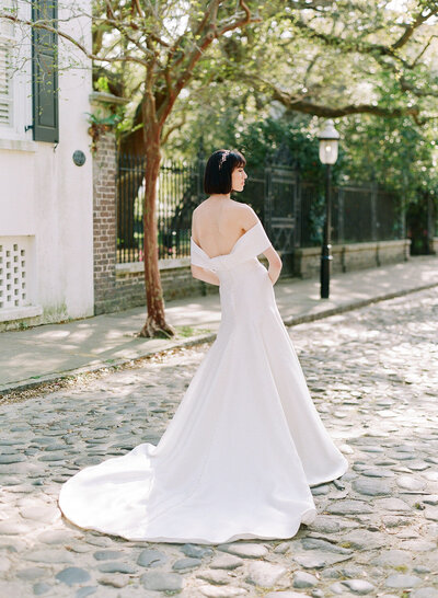 Portrait of a Bride with Veil Photo