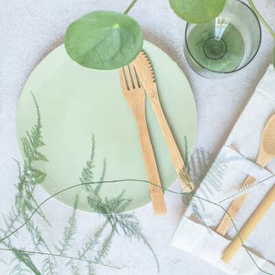 Plate and utensils made of renewable materials