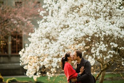 Ballard Locks is the best spot for engagement photos in Seattle, with trees, flowers, gardens and romantic settings for couples before their wedding