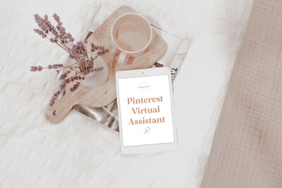 Free Download of the Pinterest Virtual Assistant Starter Pack