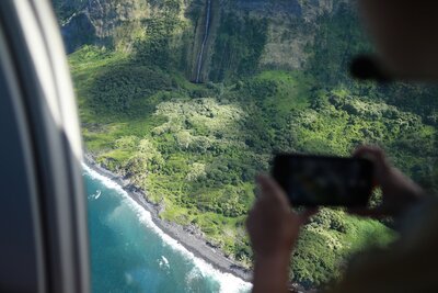 Dolphin underwater in Hawaii