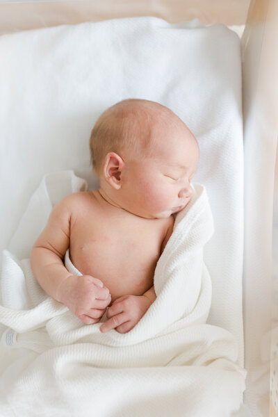 northern virginia studio newborn photographer baby bumps maternity photographer emily gerald portfolio births