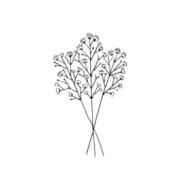 Flowers_PNG