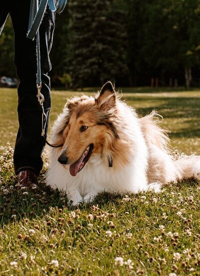 relaxed family photos in Winnipeg
