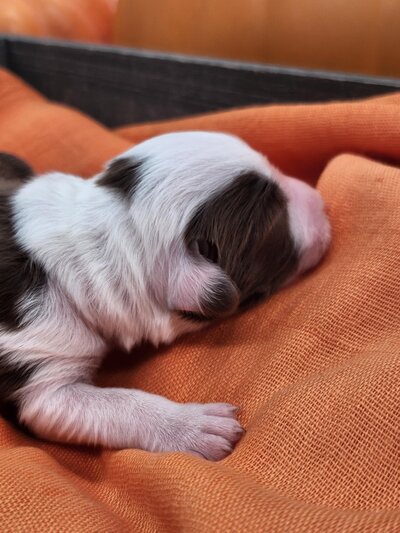 d76f6de6-feec-4d24-80a5-41e673ddff64