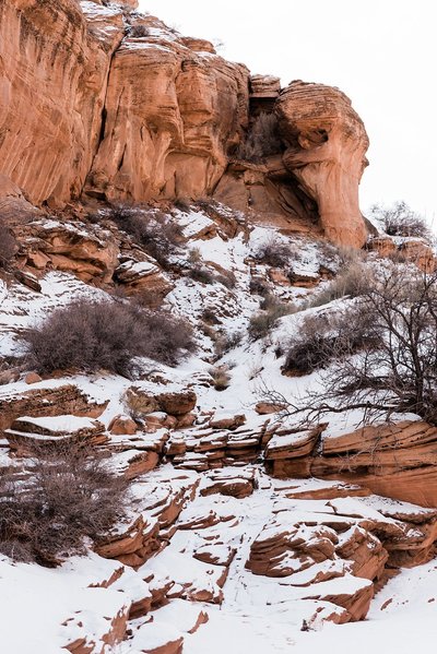 shio-ron-arizona-wedding-portrait-elopement-photosDSC_3498