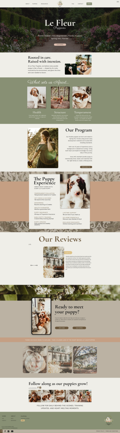 Boss Breeders Website design client Le fleur puppies