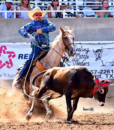 Royalty Vet Team Roper and his performance horse roping.