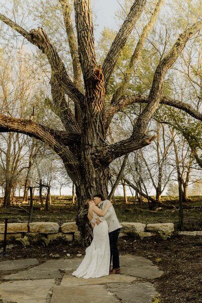 Newlyweds share a kiss under a giant tree.