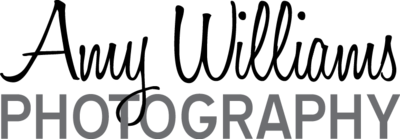 Amy Williams Photography logo – Vancouver and Tri-Cities branding photographer