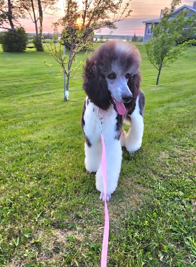 8f3b5657-98a2-4662-b044-09d1817dd7b7