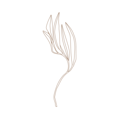 branch illustration logo mark