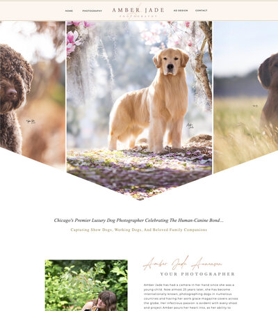 Dog Business Website