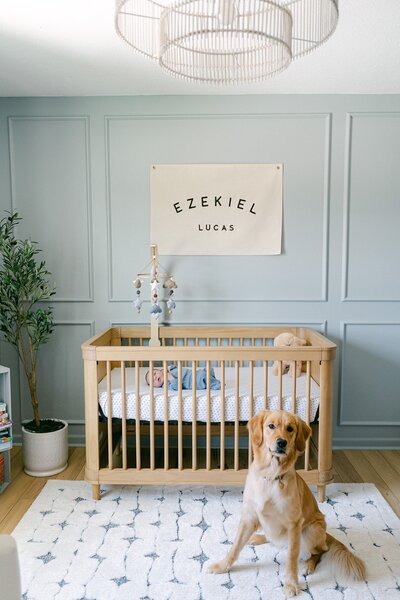 portrait of a newborn baby boy in his crib with his name on a banner on the wall and his dog on the floor in front of the crib