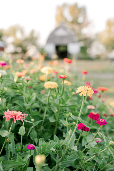 copywriter website design elements