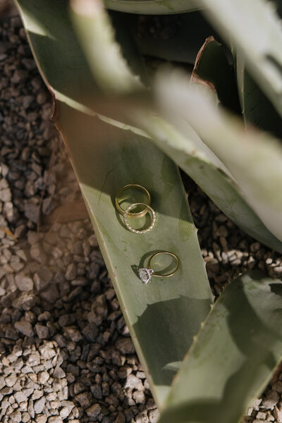 PalmSpringsWeddingDarbyBoboPhotoDetails-37