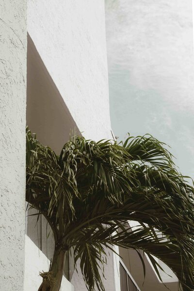 pexels-mathilde-16606643