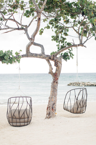 Chairs hanging from tree facing ocean view