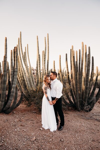 bride and groom posing in front of cacti