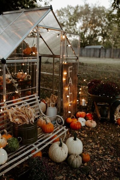 green house with pumpkins and string lights