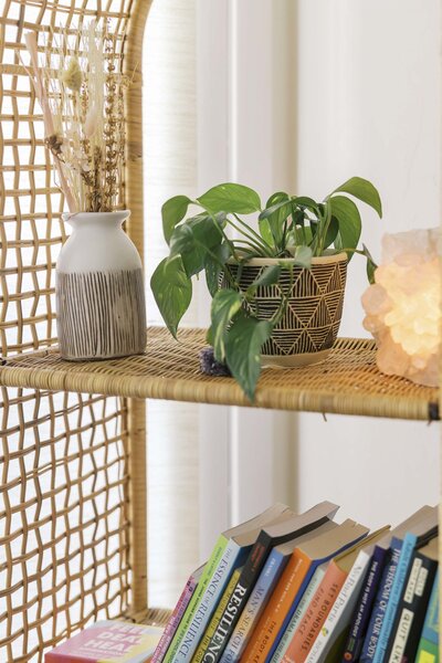 LGBTQIA+ affirming therapy for young adults in Tucson Arizona