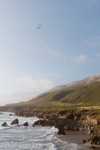 Waves crash against the rugged cliffs of Big Sur, with rolling green hills in the background and a small group of birds flying overhead.