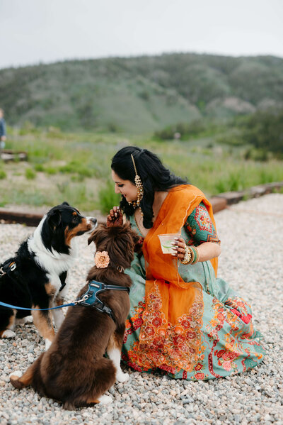Bride shares a moment with dogs during multiethnic wedding in Colorado