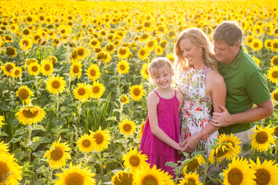 mom and dad with their daughter in a field of sunflowers at sunset taken by Ottawa Family Photographer JEMMAN Photography