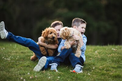 Boys laughing with Goldendoodles at Luther Burbank Park, Mercer Island