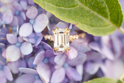 Ariana & Franc - Proposal-7217