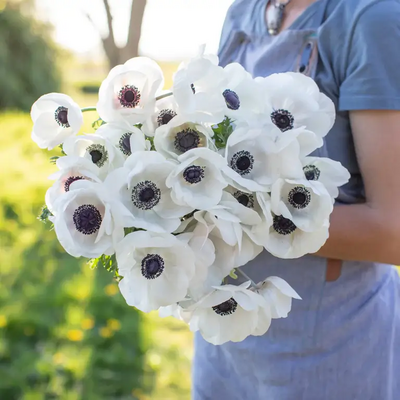 Romantic anemones are a favorite for Carmel wedding bouquets and centerpieces.