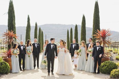 Napa Wedding Photographer Light Bright Colorful