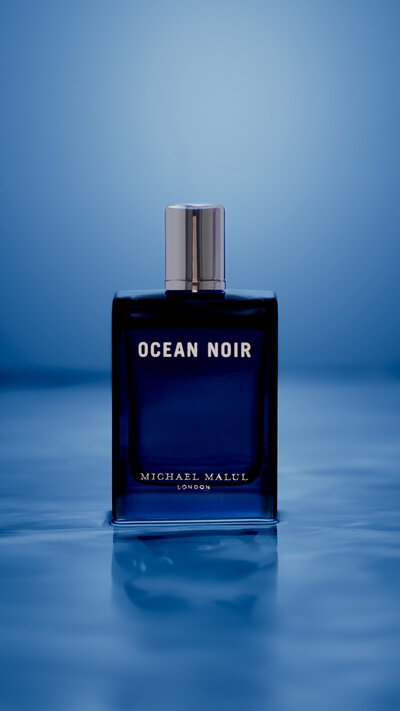 Michael Malul Video Production Case Study