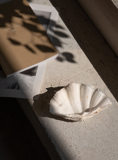 Summer inspired stock collection with shell and shadows