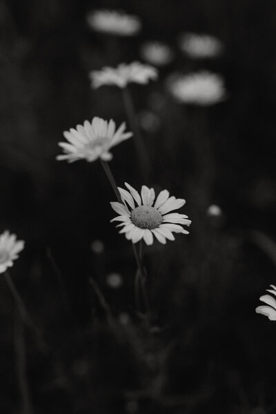 documentary wedding photographer