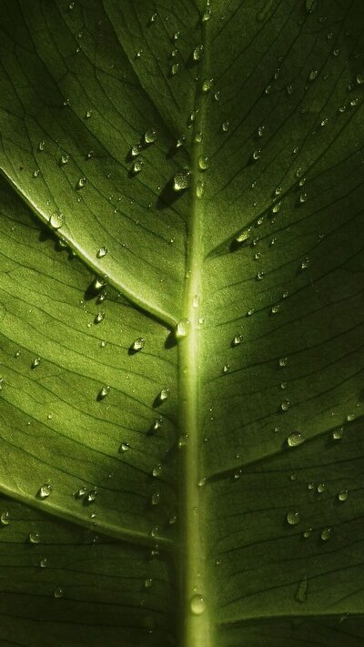 Goddess Medicine Feminine Embodiment SElf-love Tantra for women