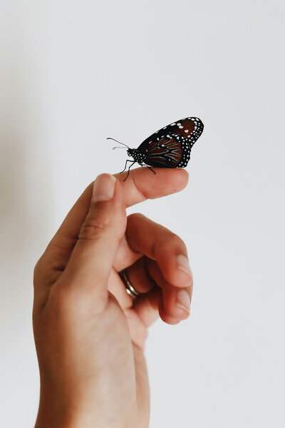 A butterfly representing emotional recovery from a mid-life crisis, symbolizing transformation and freedom.