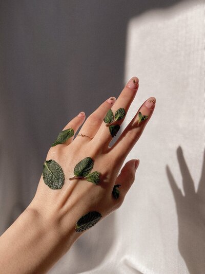 small leaves placed on elegant woman's hand