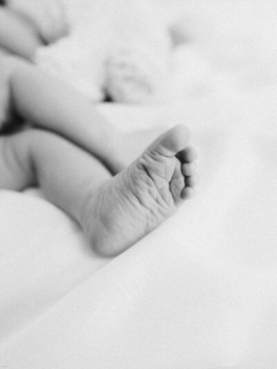 close up of details of newborn babies feet