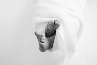 Posed Newborn Photography