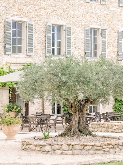 Lavender Chateau Provence